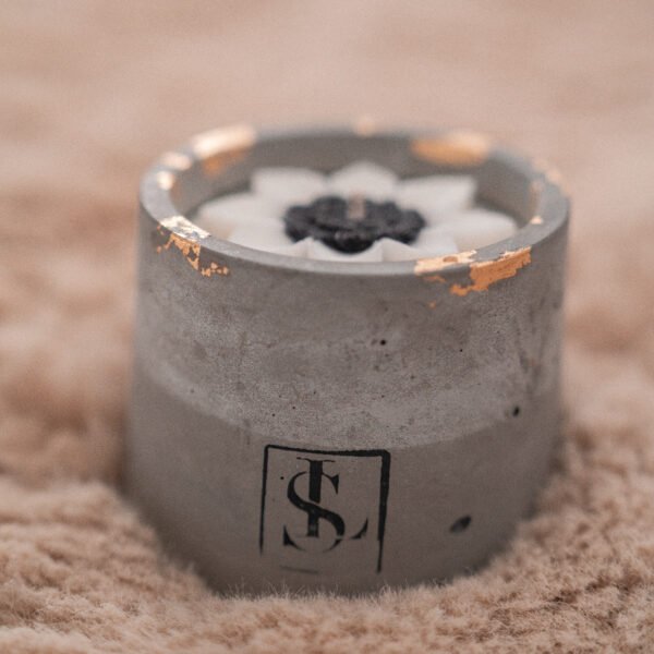 Grijze Beton Pot (Wit)